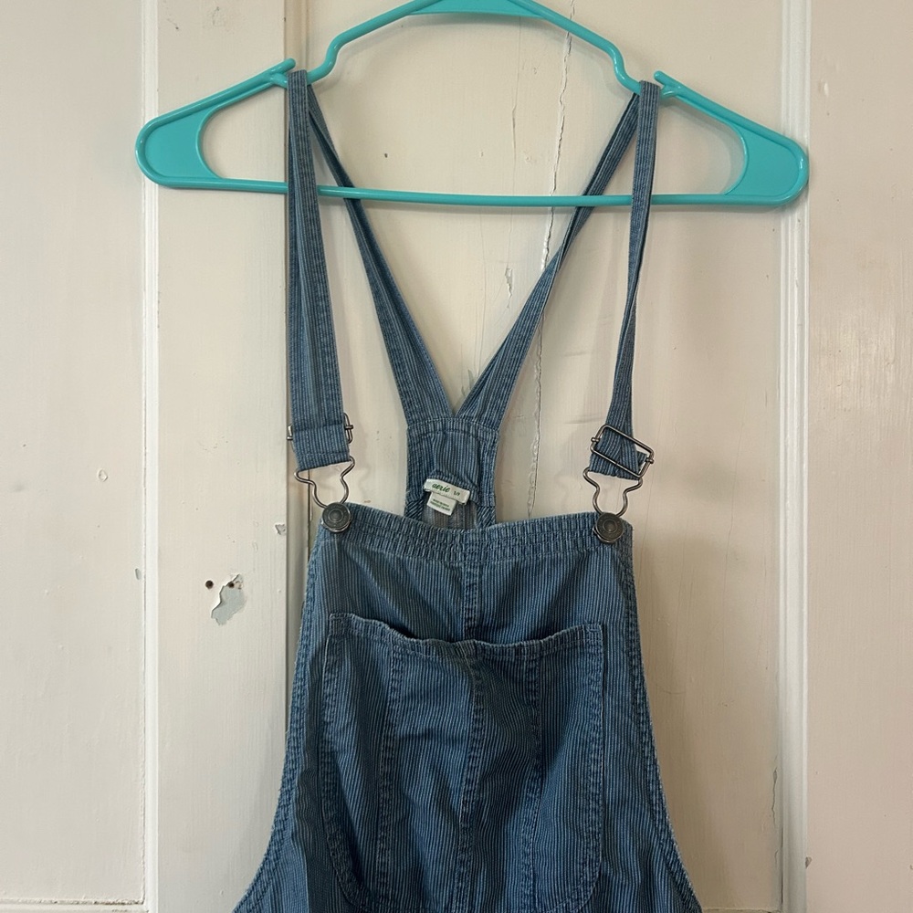 Aerie Striped Blue Denim Overalls